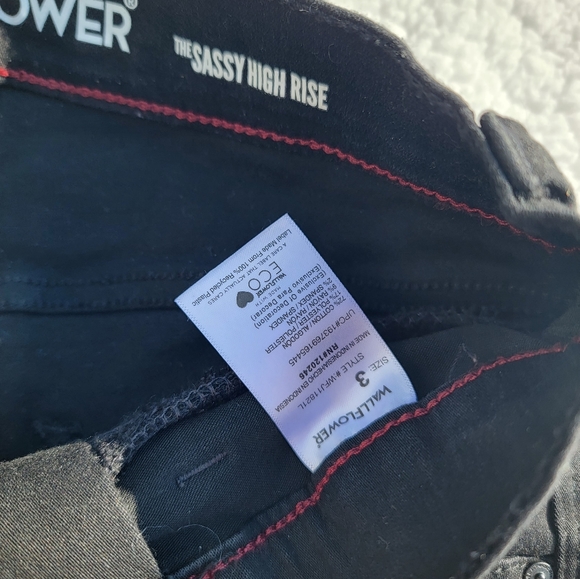 Size 3 adorable Wallflower shorts - Picture 3 of 3